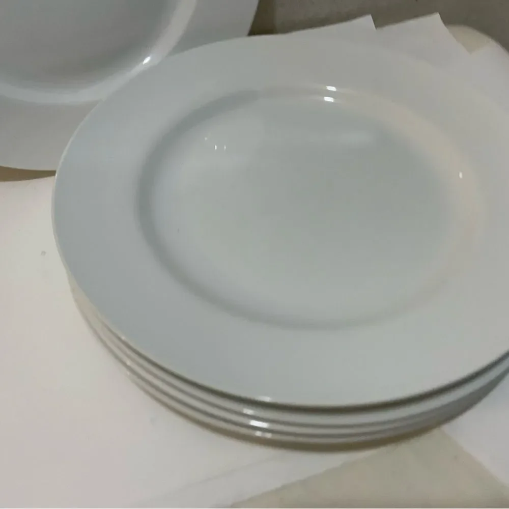 Pier 1 imports luminous White porcelain  dinner Plate 11” (Set of 5) G6